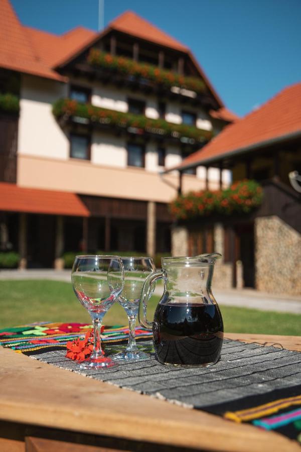Villa Gherman Sălciua de Jos 外观 照片