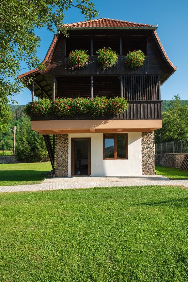Villa Gherman Sălciua de Jos 外观 照片