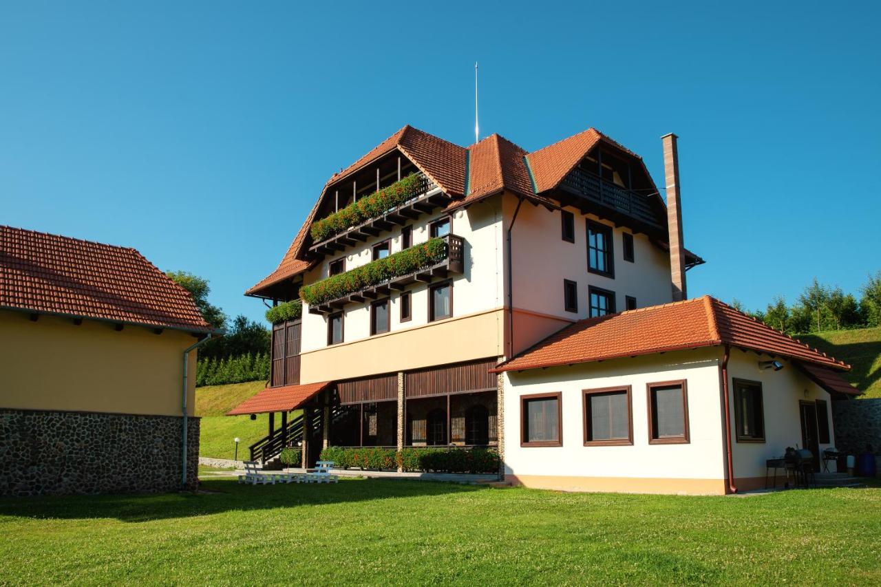 Villa Gherman Sălciua de Jos 外观 照片