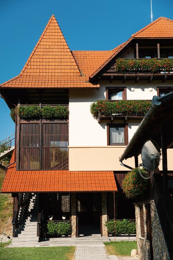 Villa Gherman Sălciua de Jos 外观 照片
